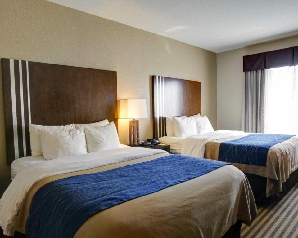 Comfort Inn & Suites Navasota Екстериор снимка