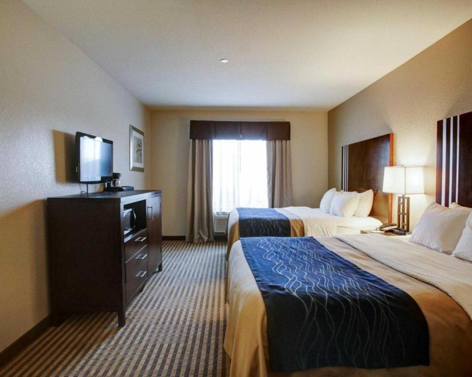 Comfort Inn & Suites Navasota Екстериор снимка