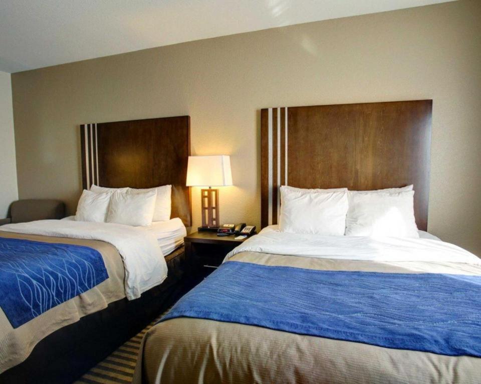 Comfort Inn & Suites Navasota Екстериор снимка