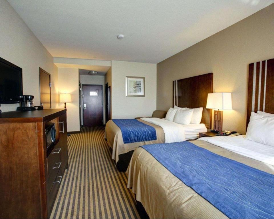 Comfort Inn & Suites Navasota Екстериор снимка
