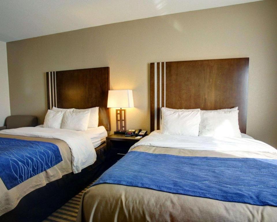 Comfort Inn & Suites Navasota Екстериор снимка