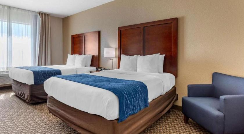 Comfort Inn & Suites Navasota Екстериор снимка