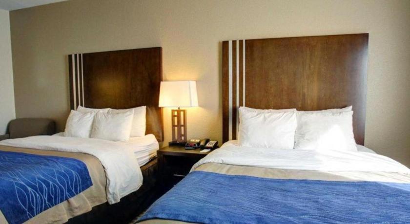 Comfort Inn & Suites Navasota Екстериор снимка