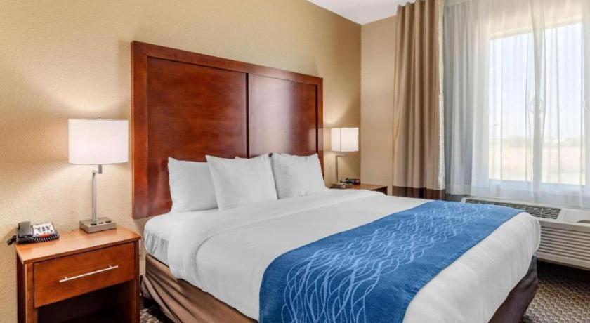 Comfort Inn & Suites Navasota Екстериор снимка